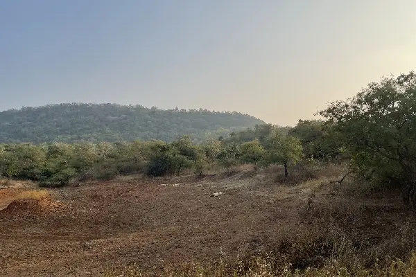 Wildlife safari in Gujarat India